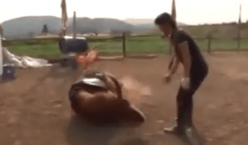 Facebook viral: caballo finge su muerte cada vez que las personas intentan montarlo [VIDEO]