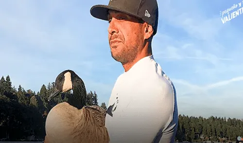 Desliza hacia la izquierda para ver las imágenes del video viral. Foto: captura de YouTube. YouTube viral: hombre rescata a pequeño ganso y este se convierte en su ‘mejor amigo’