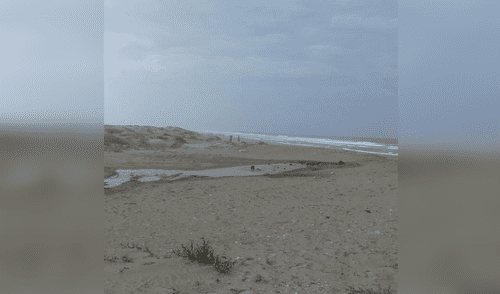 Talara: denuncian contaminación del medio ambiente del mar de La Brea-Negritos [VIDEO]