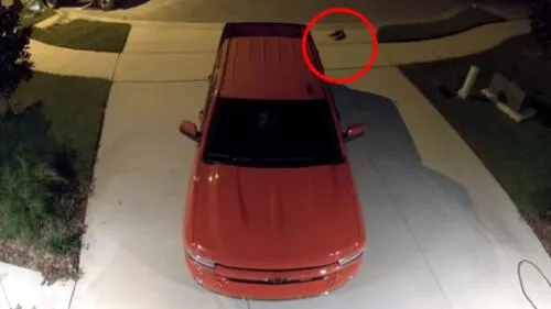YouTube viral: hombre estaciona su carro y no nota la 'extraña' criatura que lo seguía [VIDEO]