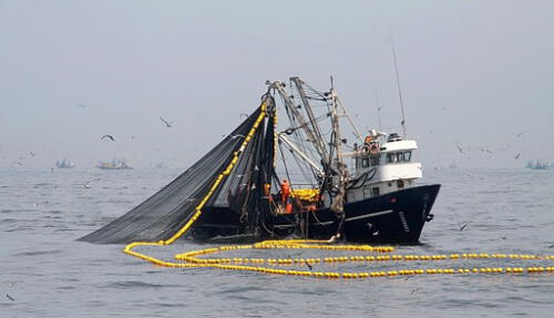 Derecho de pesca.