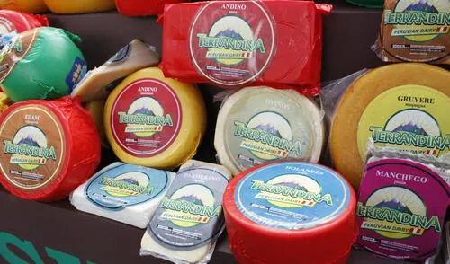 Quesos madurados: Una alternativa rentable para la conservación de leche Quesos madurados: Una alternativa rentable para la conservación de leche