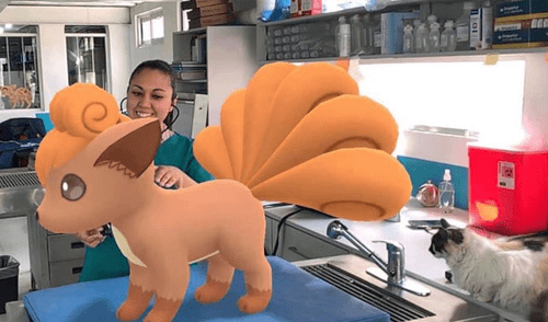 Desliza para ver las fotos que enamoraron a los fans de Pokémon GO. Foto: Captura. pokemon go