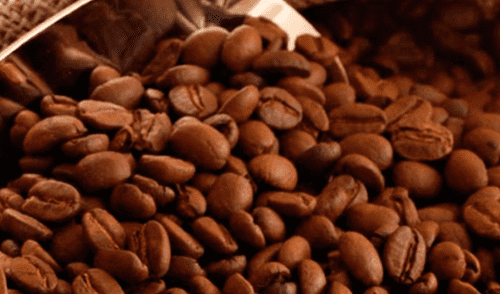 Café del Bosque de Protección Alto Mayo avanza en concurso “II Taza de Excelencia” Café del Bosque de Protección Alto Mayo avanza en concurso “II Taza de Excelencia”