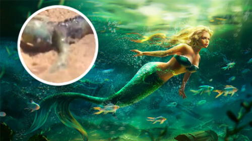 Facebook Viral: Afirman haber encontrado a bebe de sirena y miles de usuarios se aterran ante hecho Facebook Viral: Afirman haber encontrado a bebe de sirena y miles de usuarios se aterran ante hecho