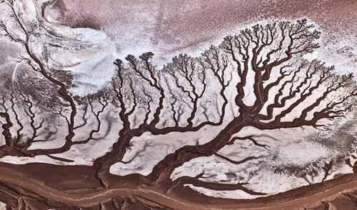 Paisajes, colores y fenómenos únicos: postales de ensueño en el certamen de National Geographic [FOTOS]