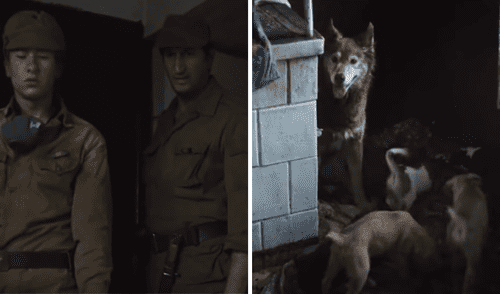 Chernobyl: Productor revela que "escena de los perros" iba a ser más cruda y explícita