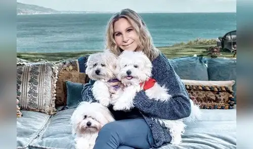 Barbra Streisand tiene a dos clones como mascotas