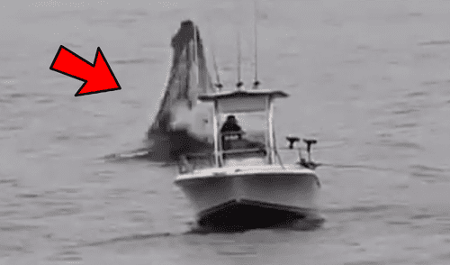 YouTube viral: Pescador queda en shock al ver que enorme criatura surge del océano 