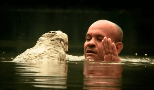 YouTube viral: valiente hombre intenta nadar junto a cocodrilo, sin imaginar la feroz reacción del depredador YouTube viral: valiente hombre intenta nadar junto a cocodrilo, sin imaginar la feroz reacción del depredador