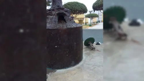 Ferreñafe: destruyen histórica pileta de la Plaza de Armas [VIDEO]