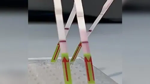 Prueba rápida molecular. Créditos: Captura Video.