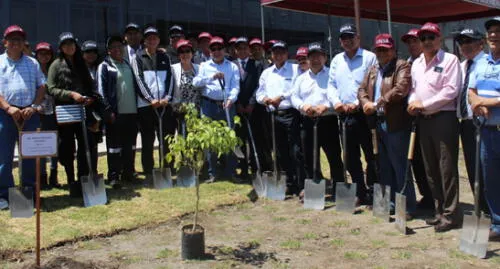 Universidad Nacional de San Agustín plantará árboles en cerco perimétrico
