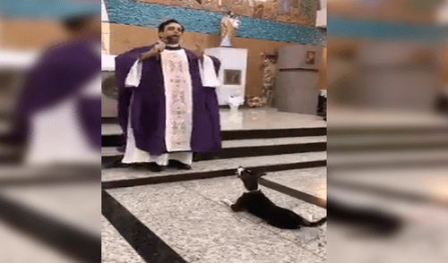 Facebook: perro sorprende al escuchar atento misa que ofrecía un sacerdote dentro de iglesia [VIDEO]