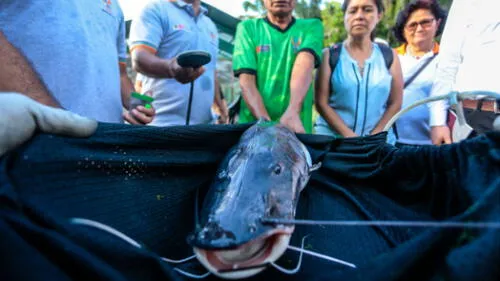 Unión Europea invierte más de 50 millones de euros en la Amazonía peruana Unión Europea invierte más de 50 millones de euros en la Amazonía peruana