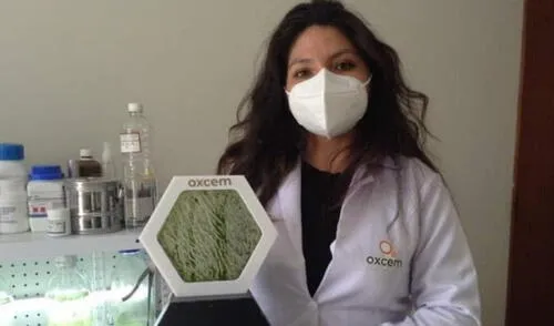 Investigadora de Arequipa ganó concurso internacional con proyecto ambiental