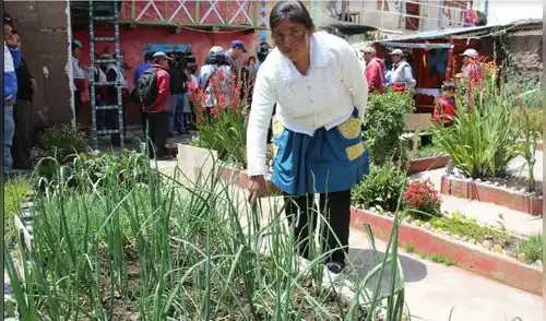 Haku Wiñay: Seis mil hogares usan la tecnología productiva en Huancavelica