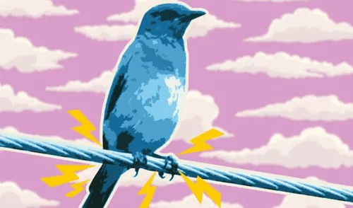 YouTube: ¿Por qué los pájaros no mueren al posarse sobre cables eléctricos? Descubre la respuesta [VIDEO] 