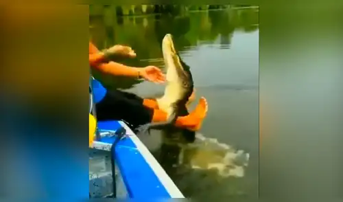 Facebook viral: joven alimenta a cocodrilo