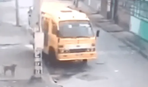 YouTube viral: graban momento exacto en que bus retrocede, sin que haya chofer [VIDEO]
