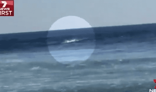 YouTube: Captan ataque de tiburón a surfista en Australia [VIDEO] 