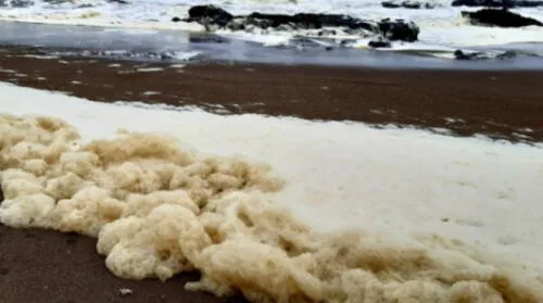 Esta semana aumentó la espuma en las orillas y percataron un color verdoso. Foto: radio Uno