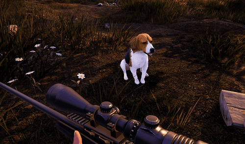 Hunting PETA Hunting PETA