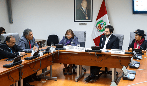 Comisión que investiga caso Sodalicio pedirá ampliación de 15 días