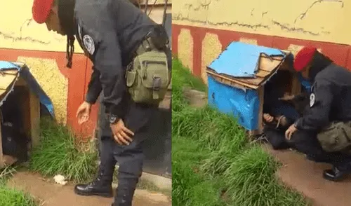 Facebook: Joven ebrio le quitó casa a perro para poder dormir [VIDEO]