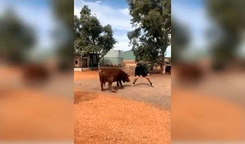 Desliza hacia la izquierda para ver las divertidas escenas del toro jugador de baloncesto. Foto: captura de YouTube