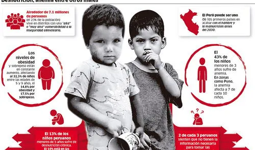 Desnutrición y anemia, entre otros males
