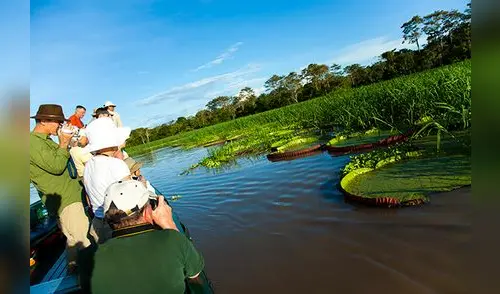 Allpahuayo  Mishana, el santuario de la biodiversidad selvática