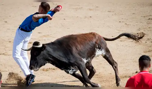 España: joven muere corneado en fiesta taurina de San Agustín [VIDEO]