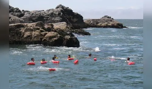 Piden ayuda para encontrar a 2 jóvenes desaparecidos en mar de Nuevo Chimbote Piden ayuda para encontrar a 2 jóvenes desaparecidos en mar de Nuevo Chimbote