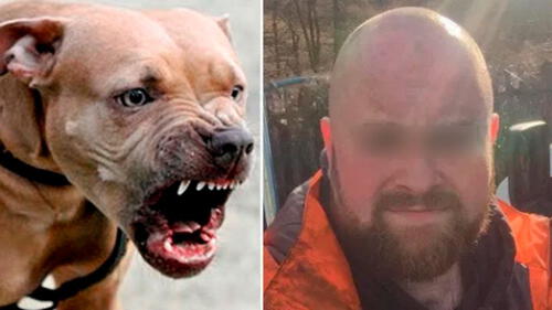 Un amigo suyo recaudó más de 5000 dólares para cubrir gastos de su funeral.