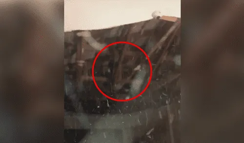 Desliza a la izquierda para ver más sobre este nuevo viral de TikTok. Foto: Captura. TikTok