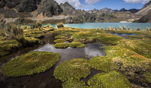 Proyectos verdes, Sedapal