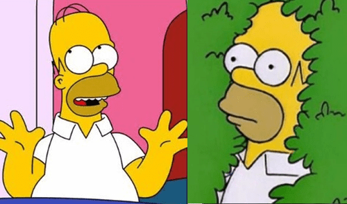 Los Simpsons: Homero se une a las redes y usó su propio meme en reciente capítulo