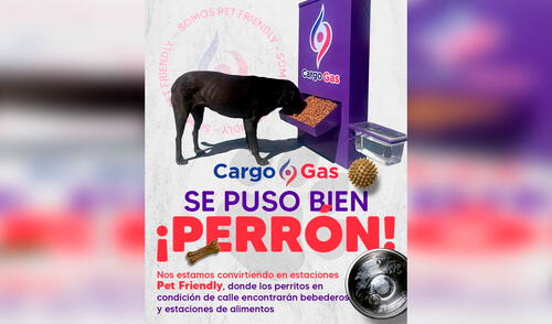 Facebook viral: gasolinera coloca dispensadores de comida y agua para ayudar a los perros callejeros [FOTOS]