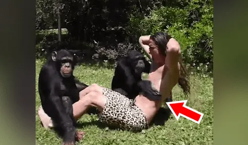 YouTube viral: monos someten a chico a duro entrenamiento y lo amenazan con radical técnica [VIDEO] 