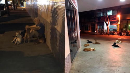 Perritos siguieron a la ambulancia cuando indigente sufrió derrame cerebral [VIDEO]