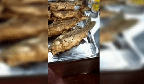 YouTube Viral: pescado frito se mueve en plato y asusta a miles [VIDEO]