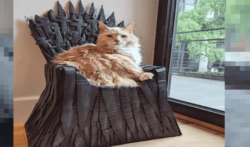 Facebook: Fan de Game of Thrones hace un Trono de Hierro de cartón para su gato y luce así [VIDEO]