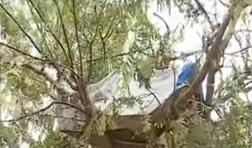 Indigentes pernoctan en un parque en plena avenida Universitaria. Créditos: Panamericana.