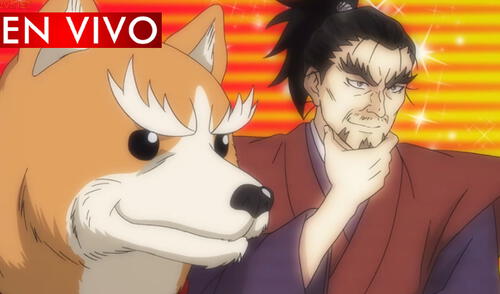 Oda Cinnamon Nobunaga