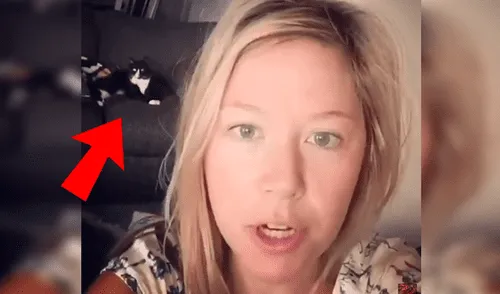 Facebook viral: Gato tuvo una inesperada reacción al escuchar cantar desafinado a su dueño [VIDEO] 