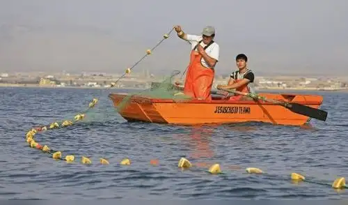 Trabajadores pesqueros se oponen a nuevos derechos de pesca propuesto por Produce