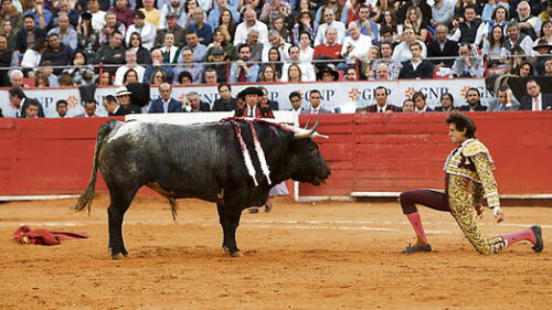 Arequipa: ¿Las corridas de toros y las peleas de gallos son cultura? 