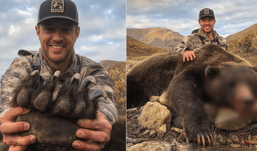 Instagram: exjugador de hockey es amenazado de muerte por caza de oso