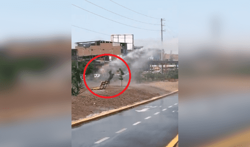 Facebook Viral: perro se da "duchazo" y divierte a miles en la red [VIDEO]